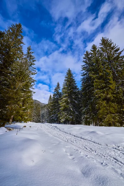 Romanya Nın Karpat Dağlarında Kışın Güzel Dağ Manzarası — Stok fotoğraf