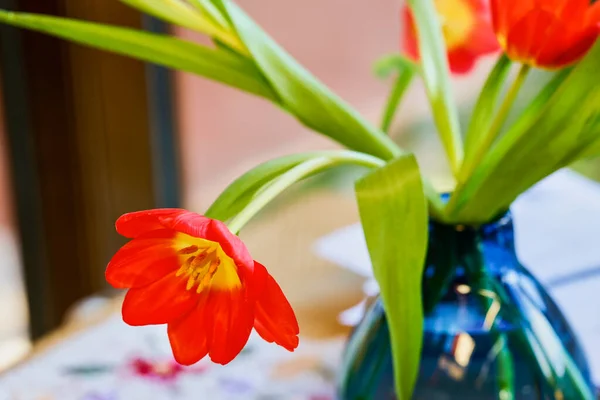 Zbliżenie Obraz Czerwonym Tulipanem Rozmyciu Dof — Zdjęcie stockowe