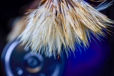 Noktalı bulanık bitkili soyut resim