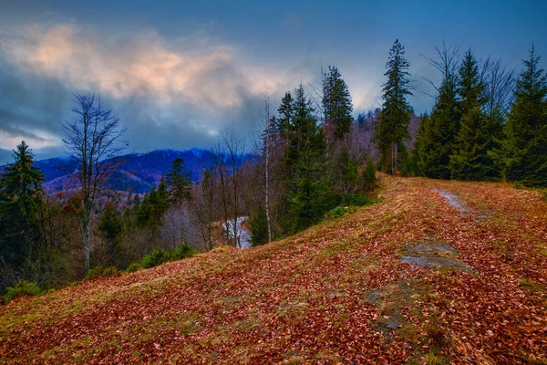 Uma Paisagem Com Estrada Montanha Outono Coberta Com Folhas — Fotografia de Stock