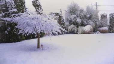 Bir evin bahçesinde karlı bir günde kış manzarası. 
