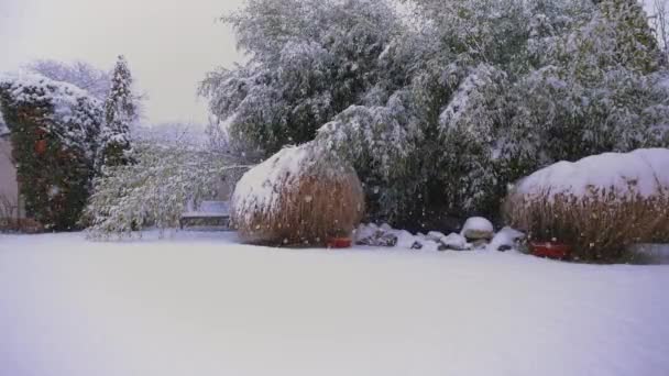 Bir Evin Bahçesinde Karlı Bir Günde Kış Manzarası — Stok video