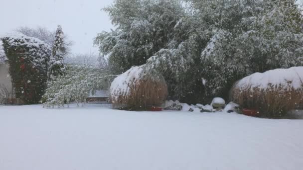 Bir Evin Bahçesinde Karlı Bir Günde Kış Manzarası — Stok video