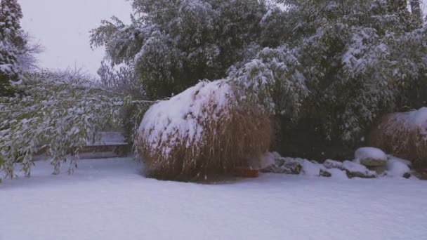 Χειμερινό Τοπίο Μια Χιονισμένη Μέρα Στον Κήπο Ενός Σπιτιού Βίντεο Αρχείου