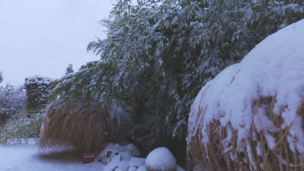 Winterlandschaft Einem Verschneiten Tag Garten Eines Hauses — Stockvideo