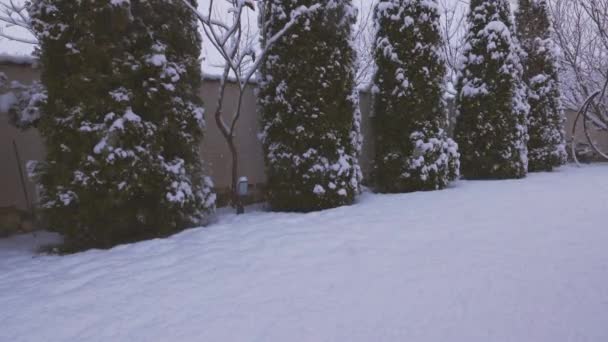 Winterlandschaft Einem Verschneiten Tag Garten Eines Hauses — Stockvideo