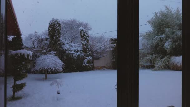 Χειμερινό Τοπίο Μια Χιονισμένη Μέρα Στον Κήπο Ενός Σπιτιού Βίντεο Κλιπ