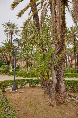 Palermo, Sicilya İtalya Mart-19-2022. Kentin turistik merkezli görüntüleri.