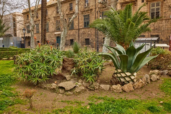 Palermo Sicilya Talya Mart 2022 Kentin Turistik Merkezli Görüntüleri — Stok fotoğraf