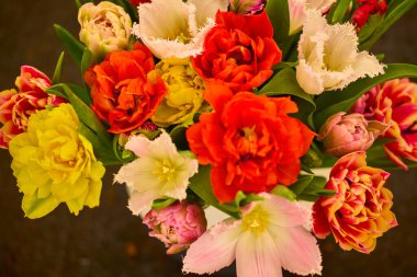 güzel soyut arkaplan çiçekli bulanık dof.