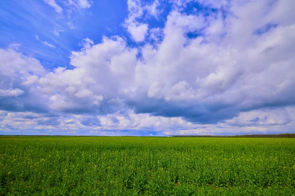 Beautiful Landscape Agricultural Field Spring Day — Fotografia de Stock