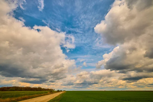 Bellissimo Paesaggio Con Campo Agricolo Una Giornata Primavera — Foto Stock