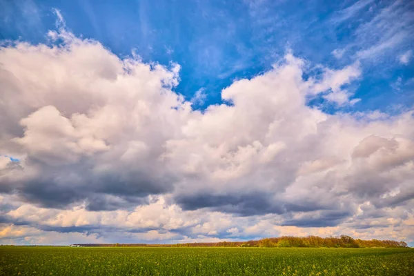 Beautiful Landscape Agricultural Field Spring Day — Stock Photo, Image