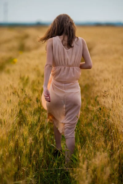 Portrait Woman Wheat Field — Stock Photo, Image