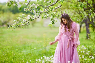 a young woman in a pink dress posing next to a blossoming apple, spring portrait.