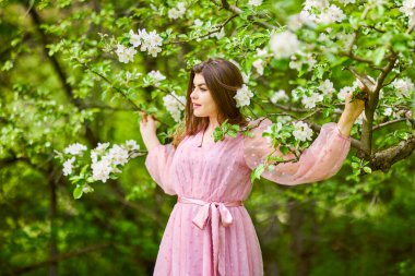 a young woman in a pink dress posing next to a blossoming apple, spring portrait.