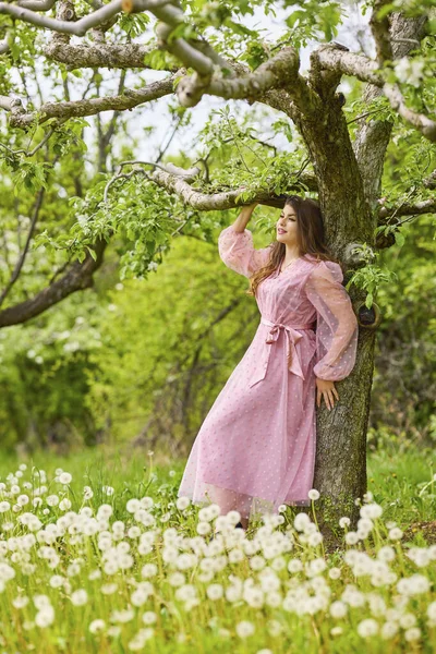 Eine Junge Frau Rosa Kleid Posiert Neben Einem Blühenden Apfel — Stockfoto