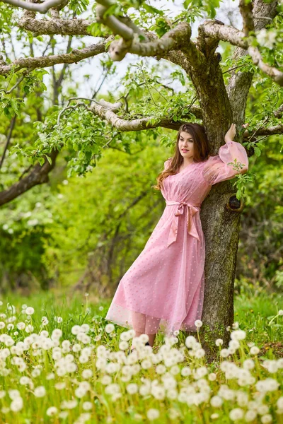 Young Woman Pink Dress Posing Next Blossoming Apple Spring Portrait — Stockfoto