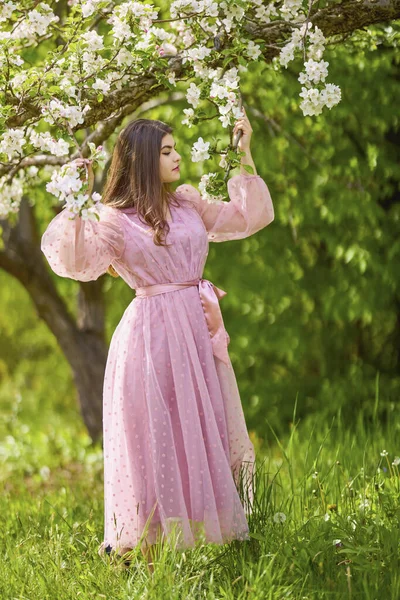 Μια Νεαρή Γυναίκα Ένα Ροζ Φόρεμα Που Ποζάρει Δίπλα Ένα — Φωτογραφία Αρχείου