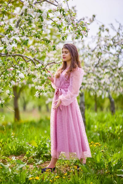 Young Woman Pink Dress Posing Next Blossoming Apple Spring Portrait — Stockfoto