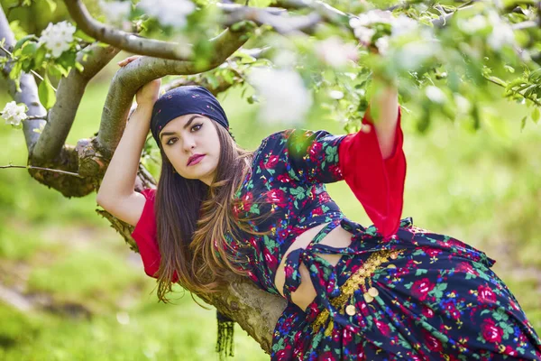 Beautiful Woman Traditional Gypsy Dress Posing Nature Spring — Fotografia de Stock