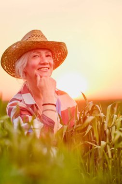 Gün batımında buğday tarlasında orta yaşlı bir kadının portresi.