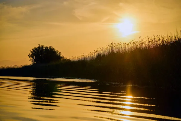 Пейзаж Закатом Дельте Дуная Румыния — стоковое фото