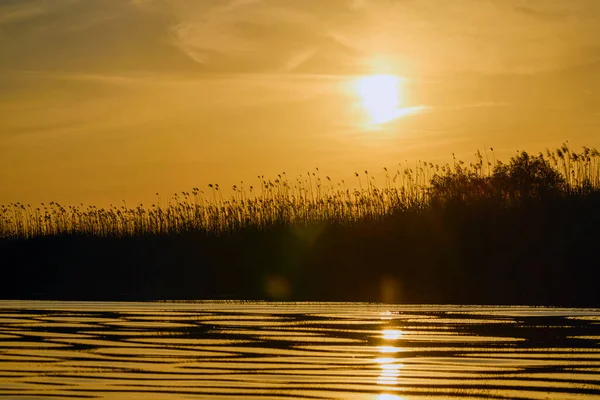 Paysage Avec Coucher Soleil Dans Delta Danube Roumanie — Photo