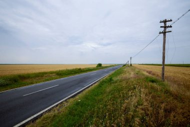 Buğdaylı bir tarım tarlası hasat için hazır.
