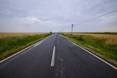 Buğdaylı bir tarım tarlası hasat için hazır.