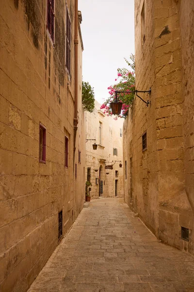 Mdina July 2022 Images Mdina Old Capital State Malta Mdina — Stok fotoğraf