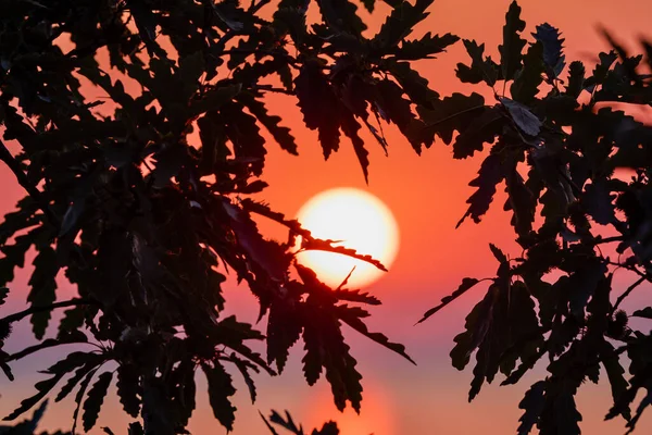 Red Sunrise Reflected Water Summer Day — Zdjęcie stockowe