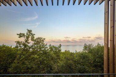 landscape with water and vegetation on a summer day