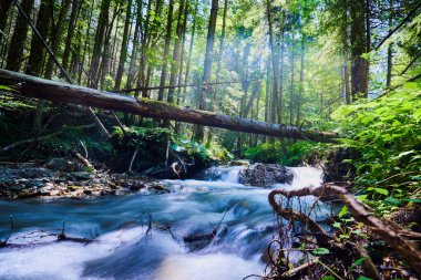 a mountain river through the forest photographed with long exposure time