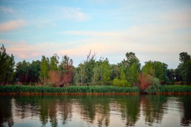 a beautiful landscape from the Danube delta with water and vegetation