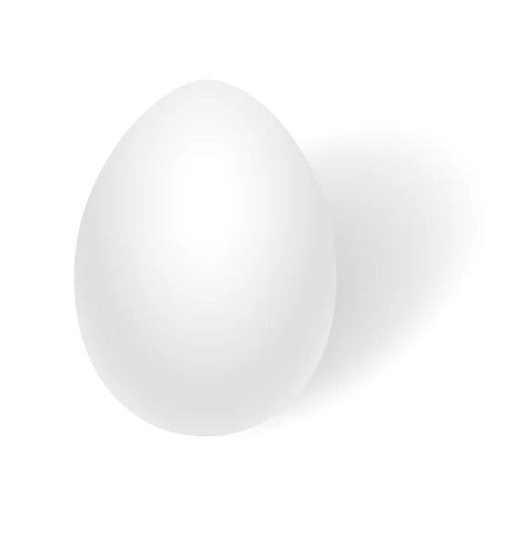 蛋向量 — 图库矢量图片