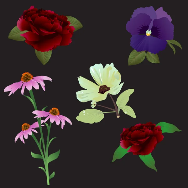 Flores vectoriales — Vector de stock