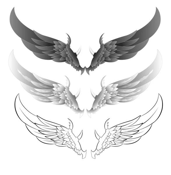Illustrations vectorielles des ailes — Image vectorielle