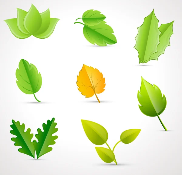 Vectors Leaves — Stock Vector