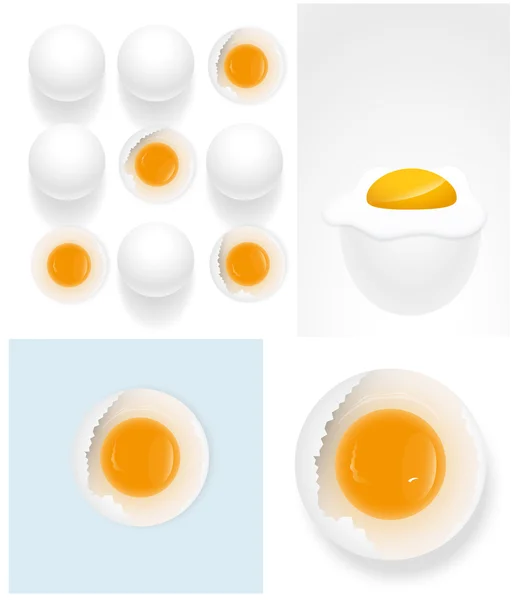 Huevos Vector Ilustraciones — Vector de stock