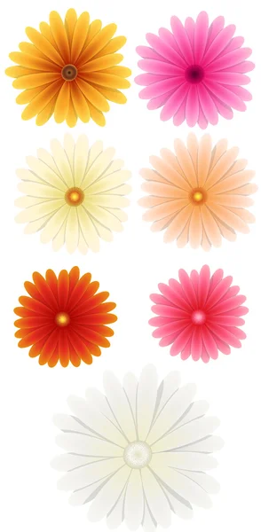 Flower Vectors — Stock Vector