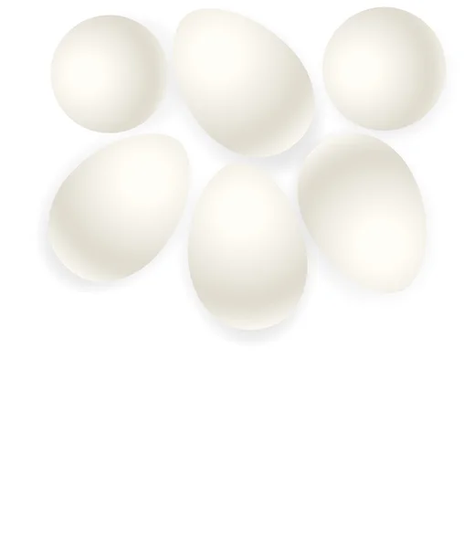 Eggs Vectors — Stock Vector