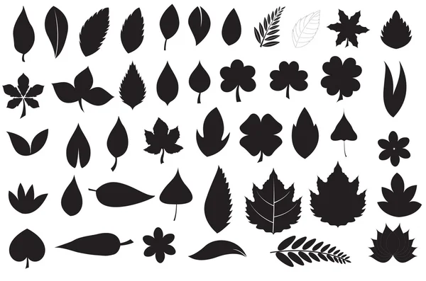 Σιλουέτες φύλλα — Διανυσματικό Αρχείο