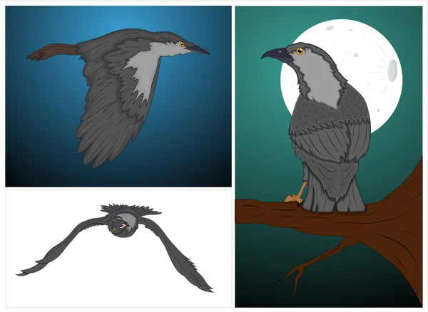 Conjunto de vectores Crow clásicos — Vector de stock