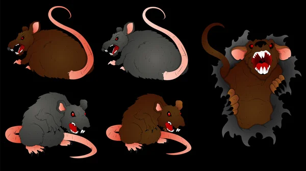 Rat Vectors — Stock Vector