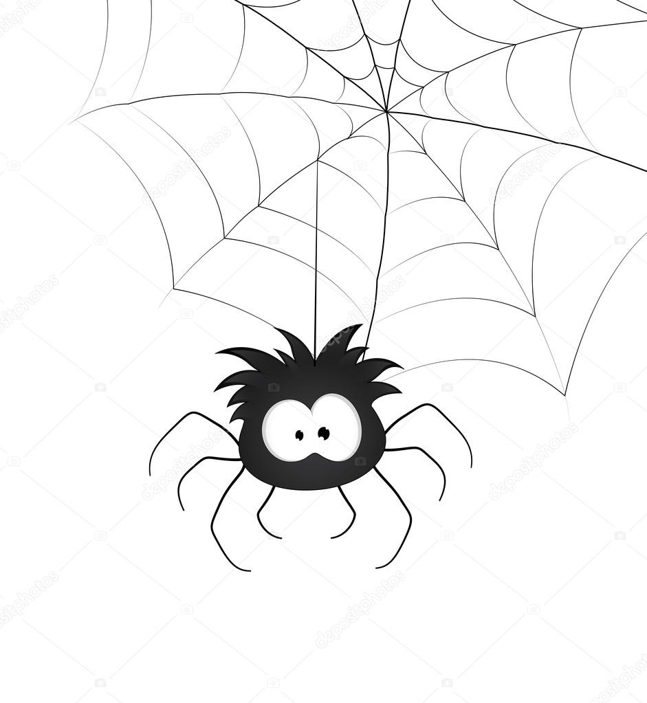 Funny Spider and Web
