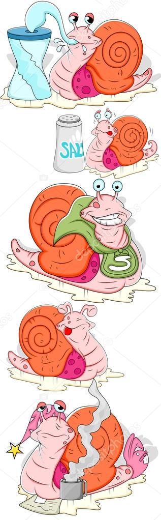 Snail Illustrations