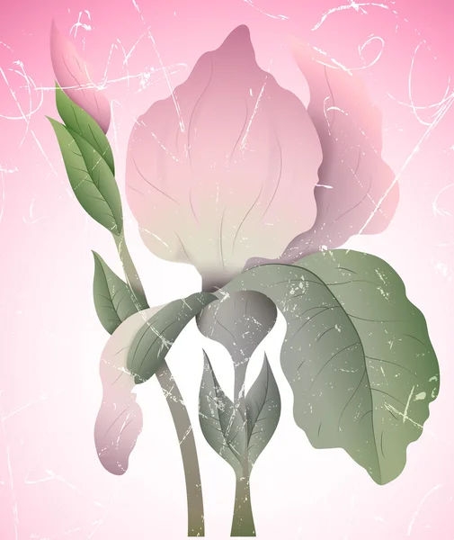 Illustration de fleurs vectorielles vintage — Image vectorielle