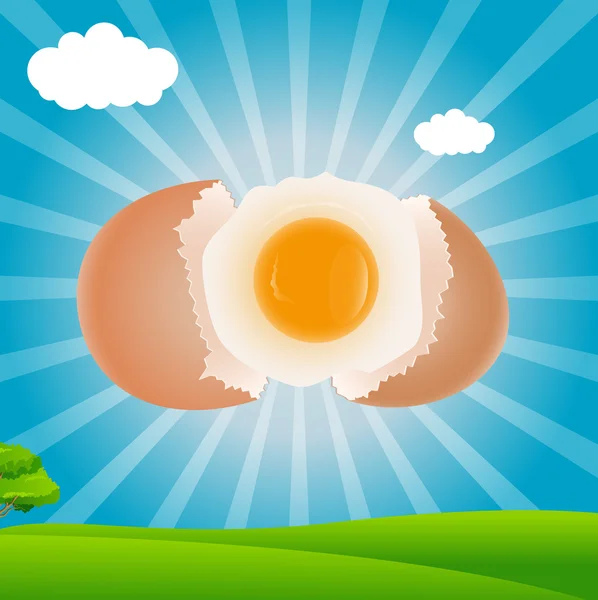 鸡蛋蛋黄矢量-早餐概念 — 图库矢量图片