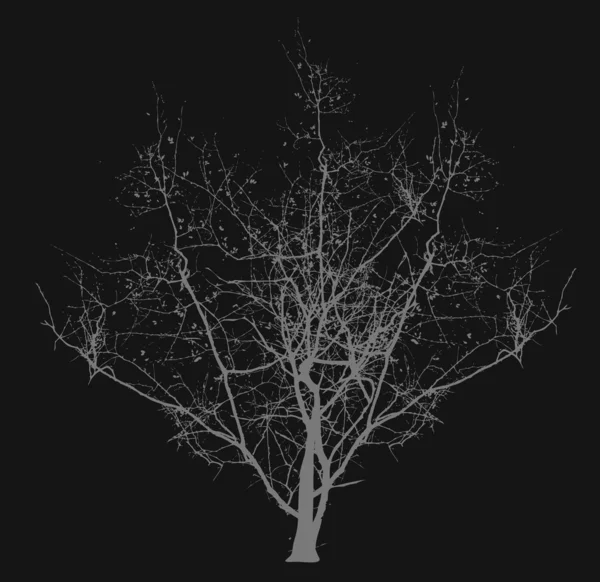 Toter Baum — Stockvektor